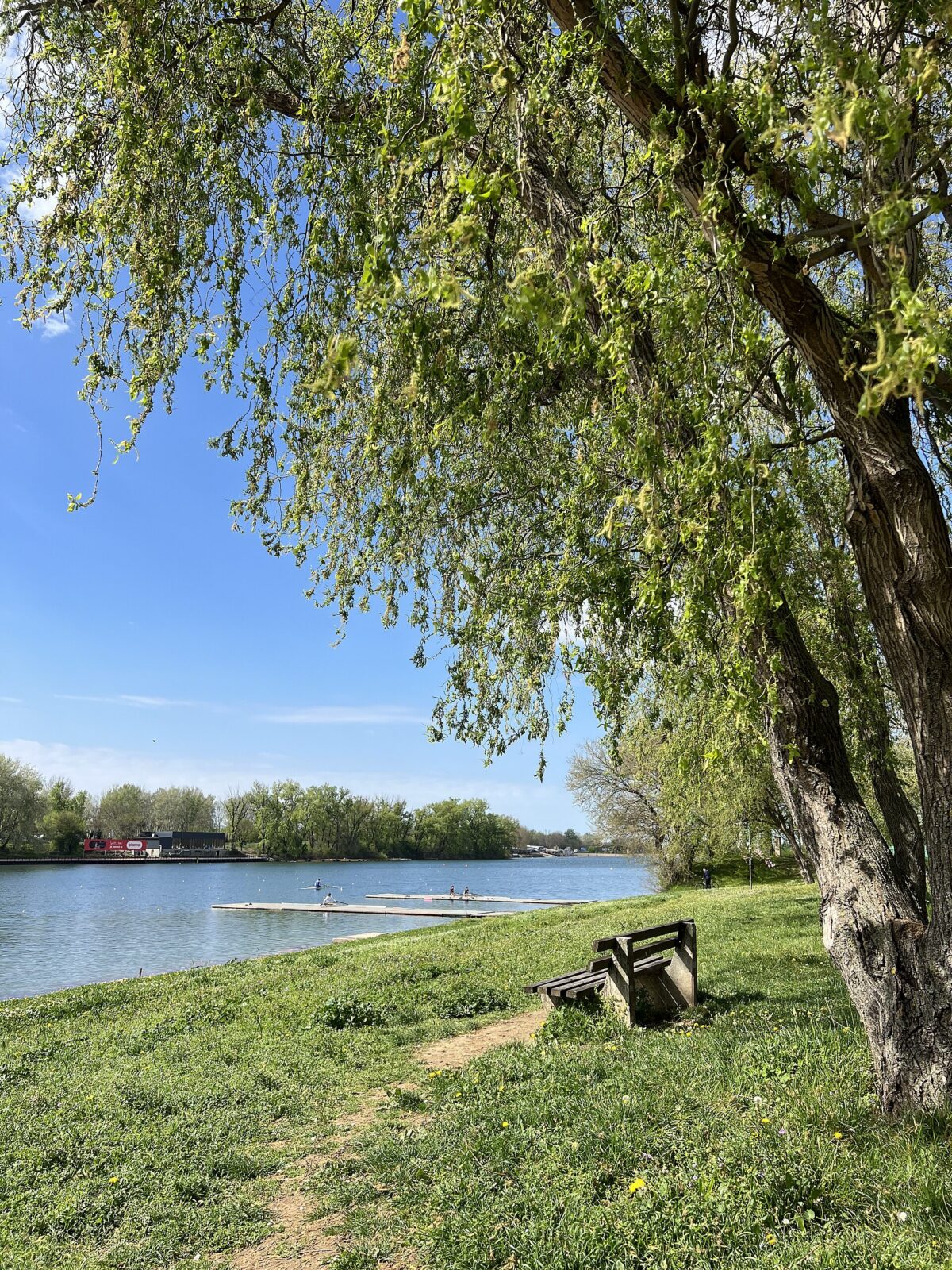 The Sava Lake at Ada Ciganlija, seen from its grassy bank with rowers on the water