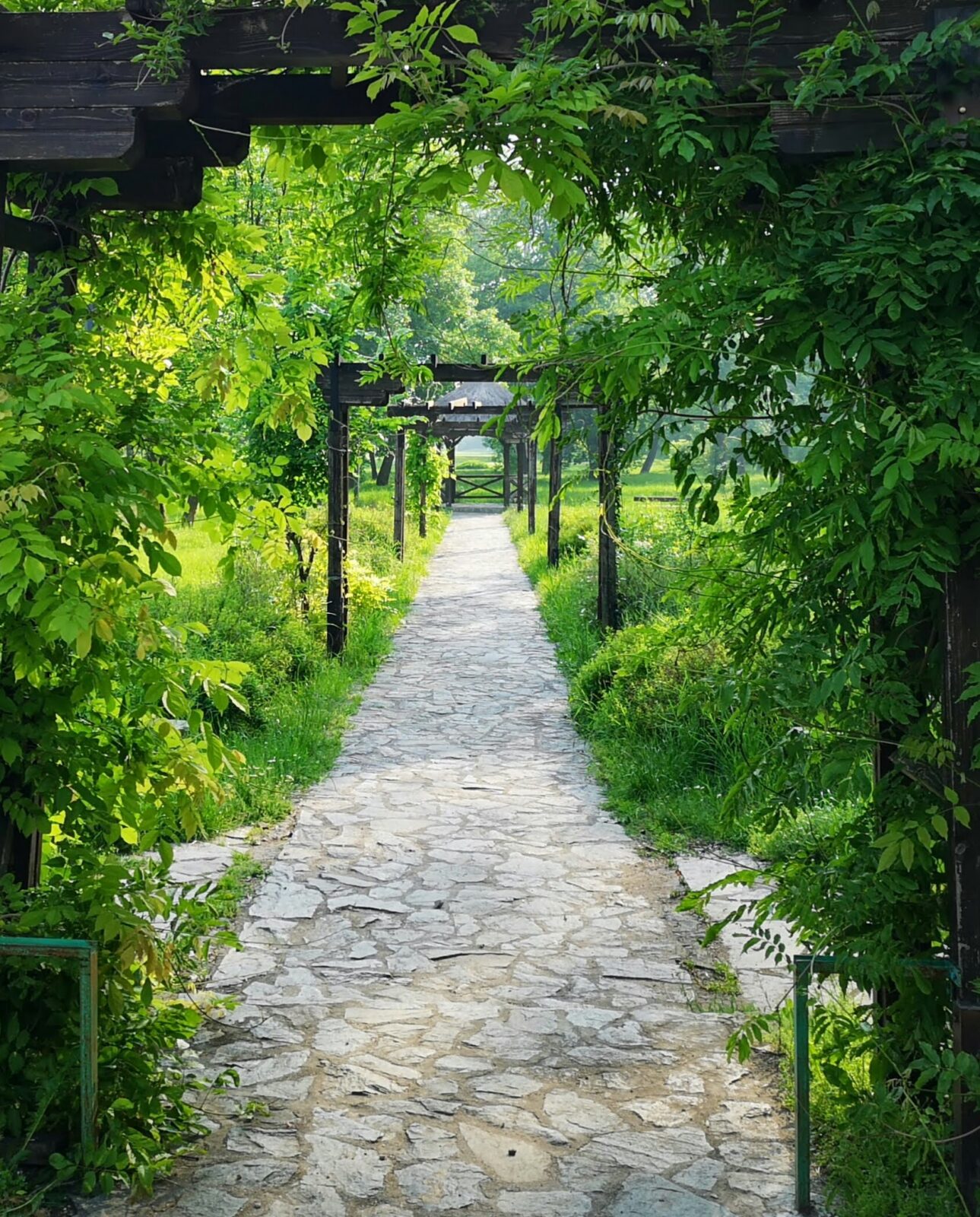 A shaded path under a wooden pergola at Ada Ciganlija