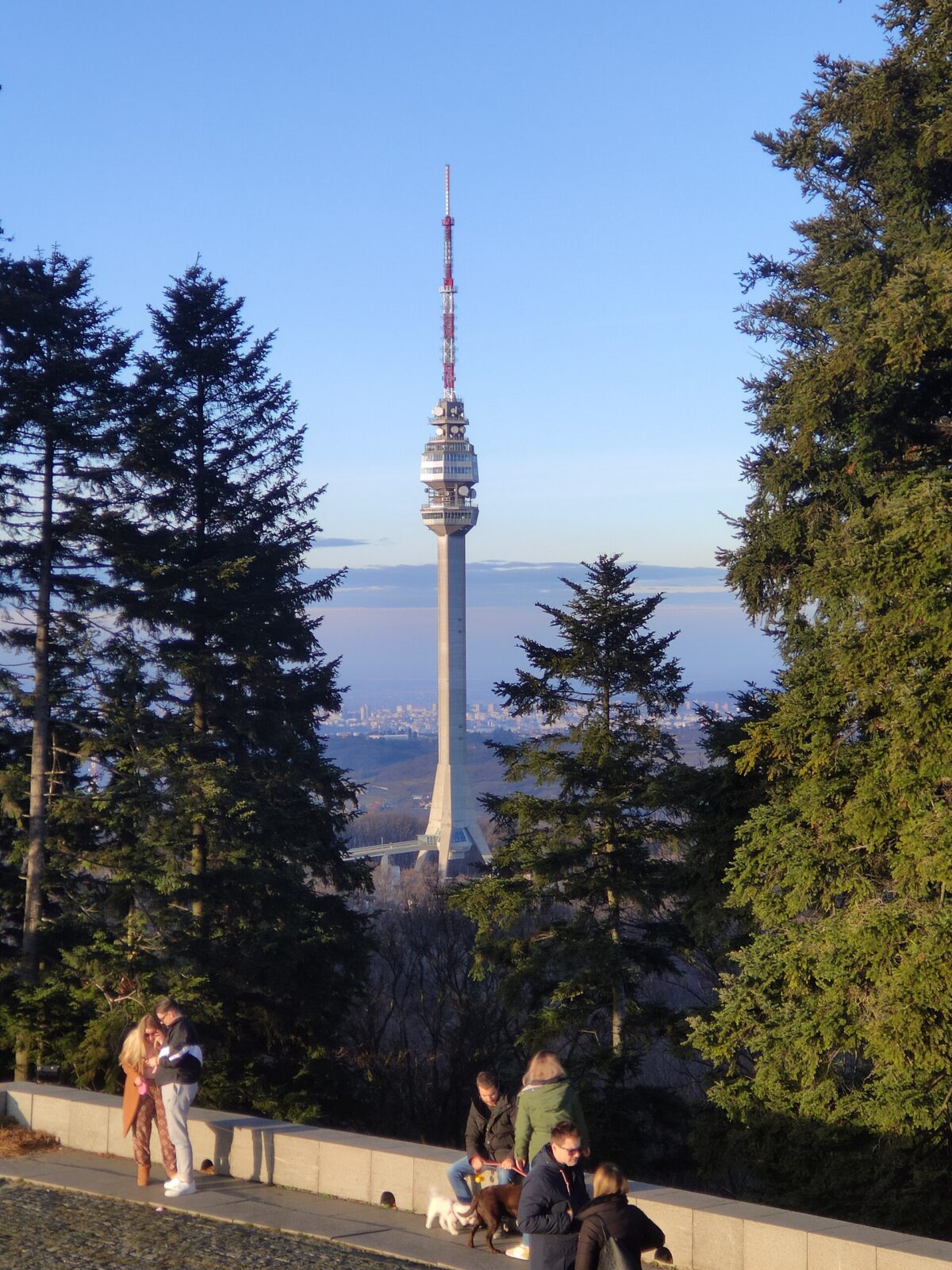The Avala Tower and its upper viewing-deck section, framed by pine trees