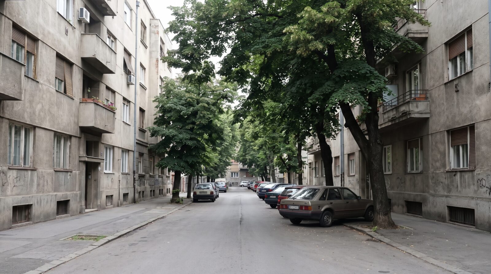 A quiet residential street in a Belgrade neighbourhood, lined with older buildings