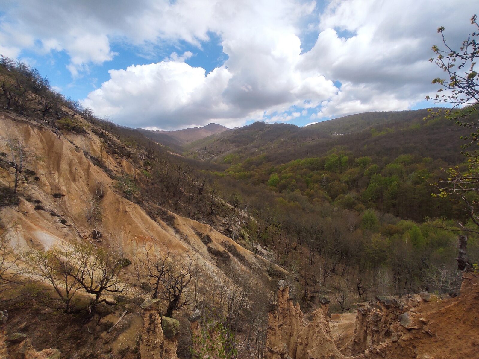 The eroded earth pillars of Đavolja Varos rising from a hillside in southern Serbia, with a wooded valley beyond
