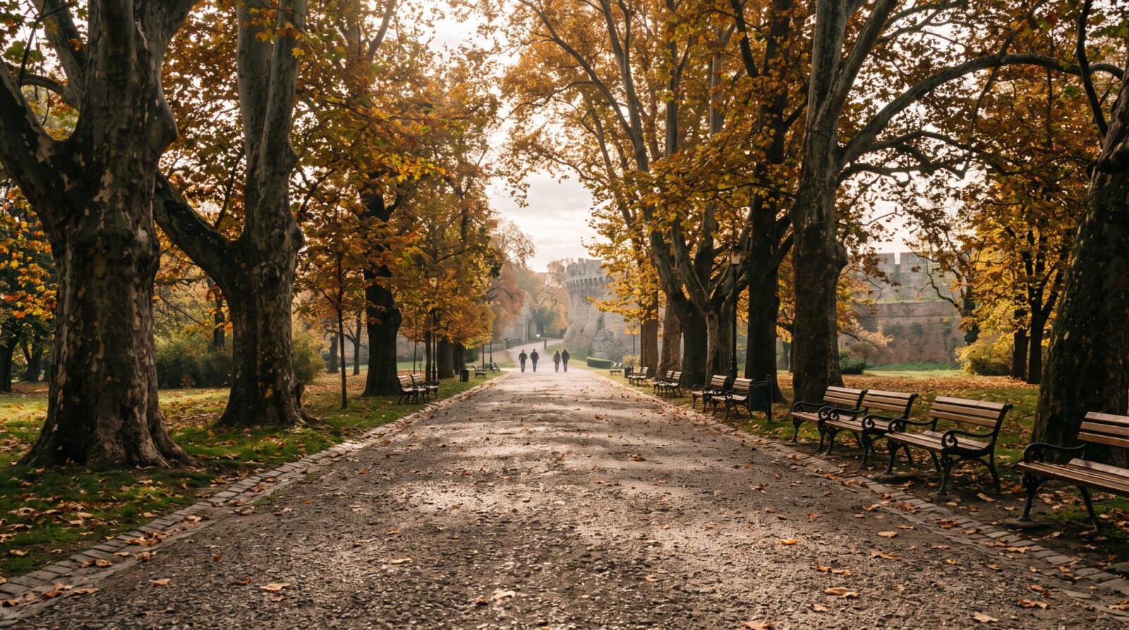 Tree-lined gravel avenue through Kalemegdan park, with benches and dappled shade