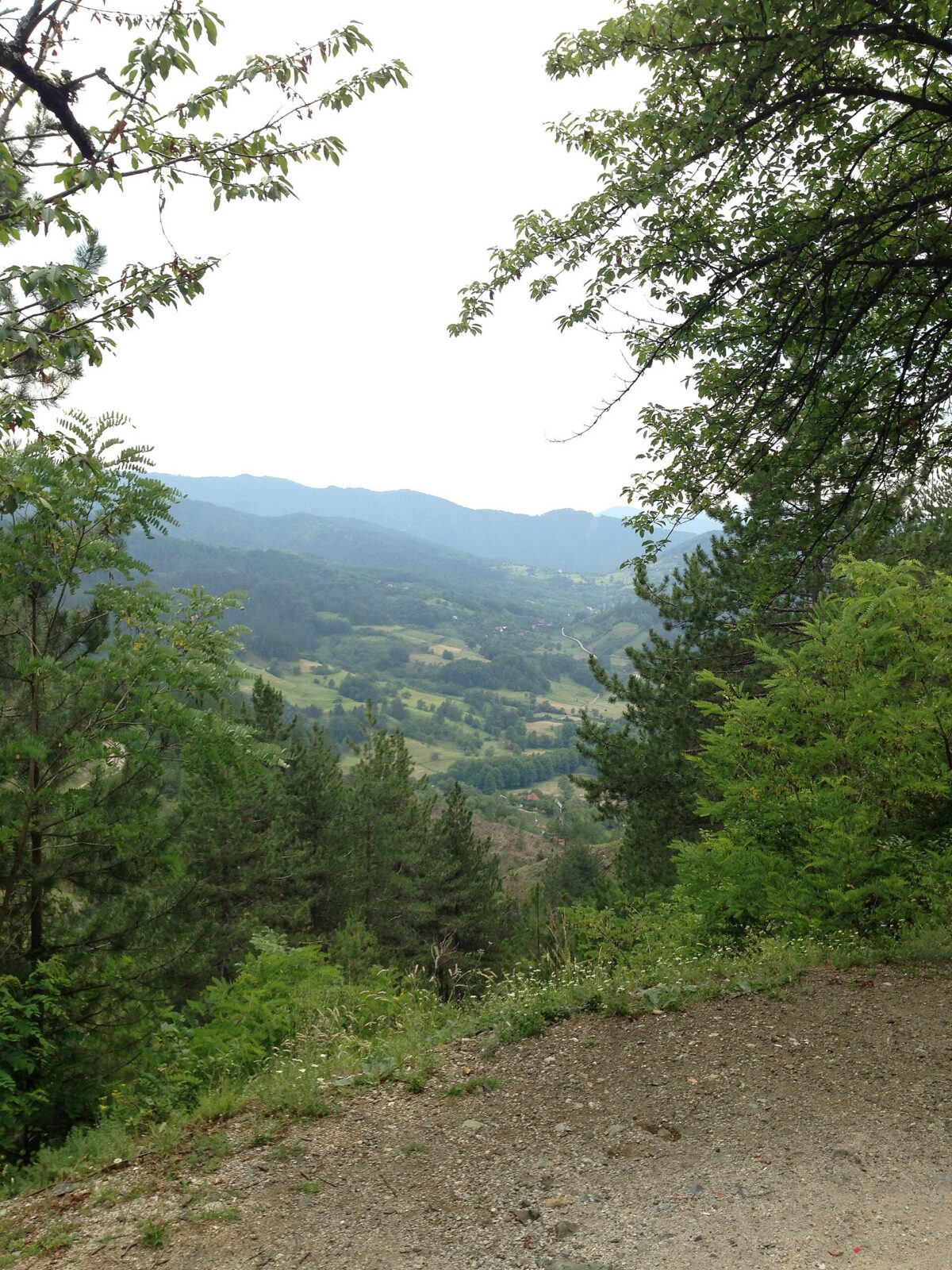 The Mokra Gora valley landscape between the Tara and Zlatibor hills
