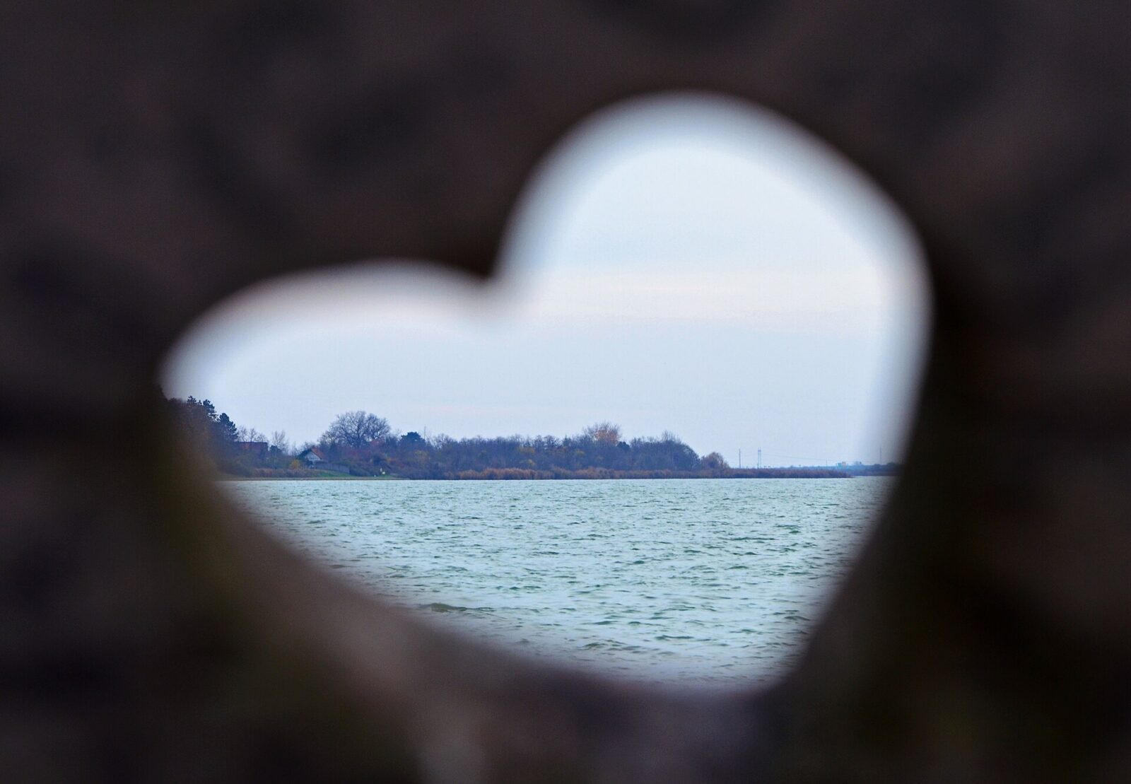 Open water and the far shoreline of Palic lake, within its protected nature park