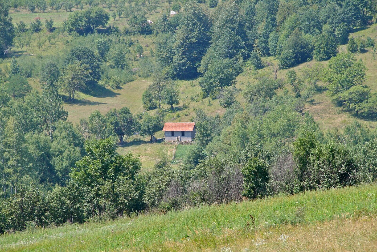 The wooded karst countryside of Divljakovac, near Resava Cave, in central Serbia