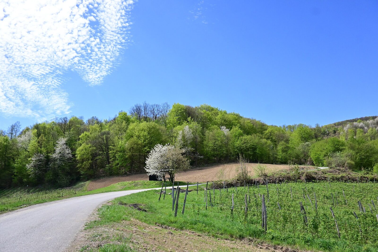 A road crossing open countryside in the hills of western Serbia