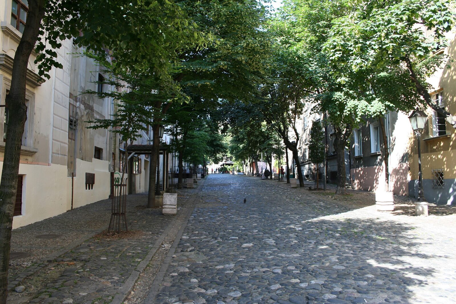 A cobbled street lined with old buildings in Skadarlija, the old bohemian quarter of central Belgrade, with overhanging trees