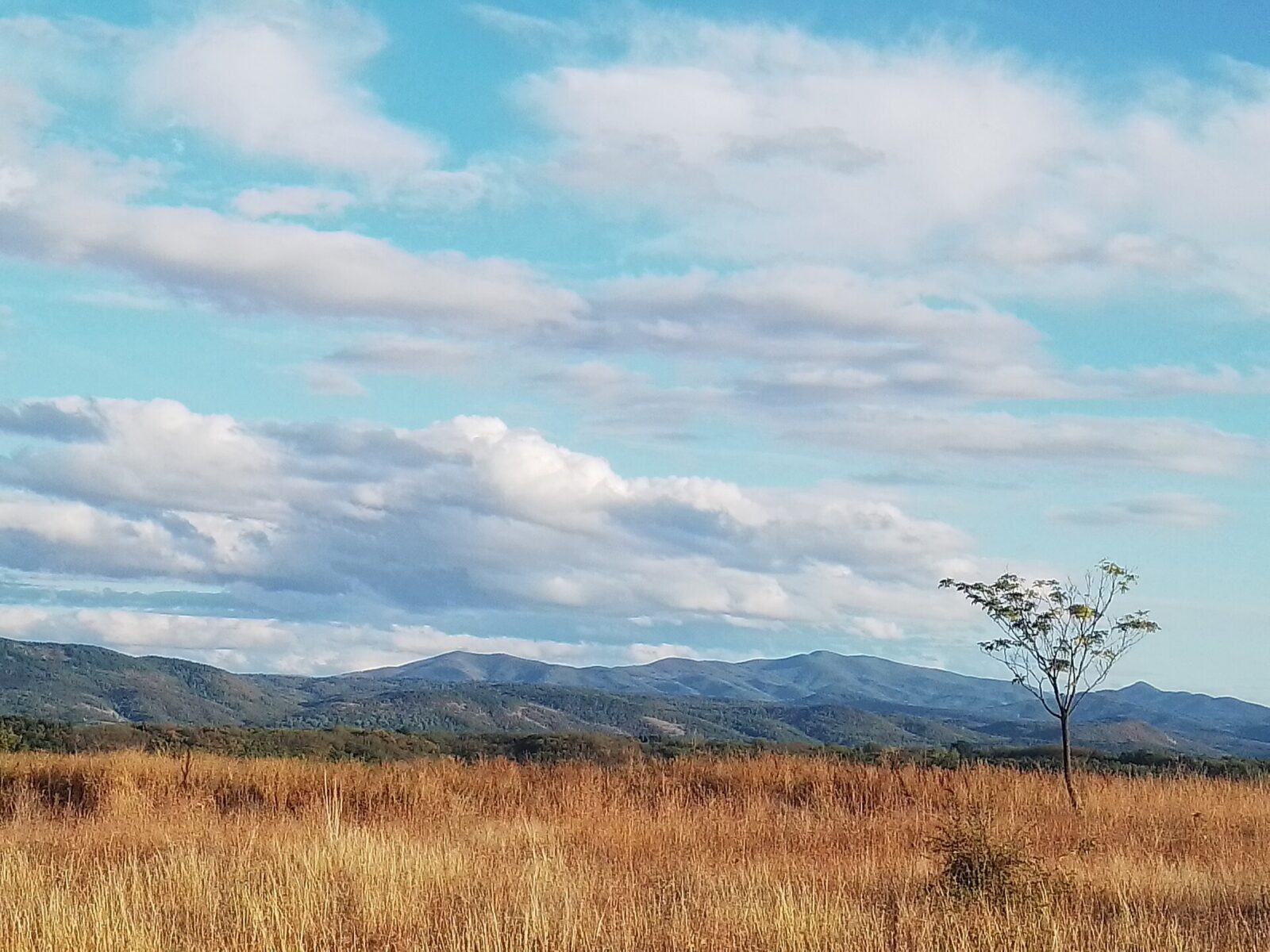 The forested valley and distant ridgelines of the Stara Planina range