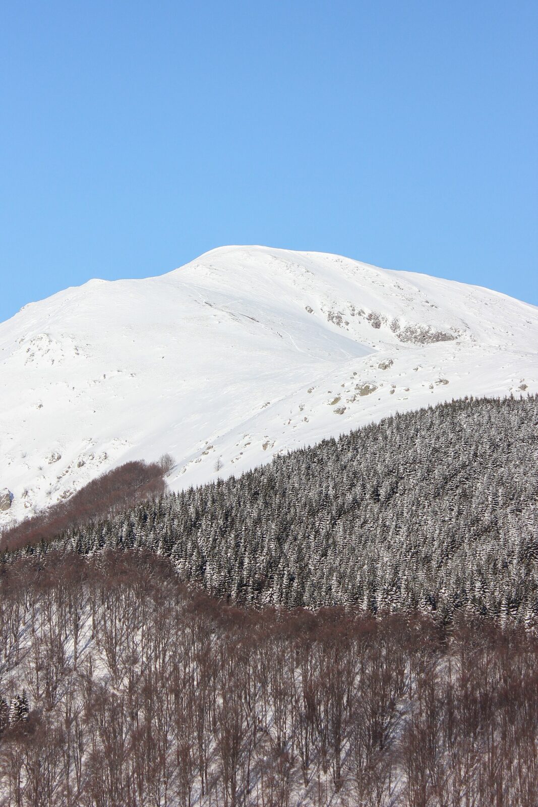 Snow-covered peaks and dark conifer forest on the Stara Planina range