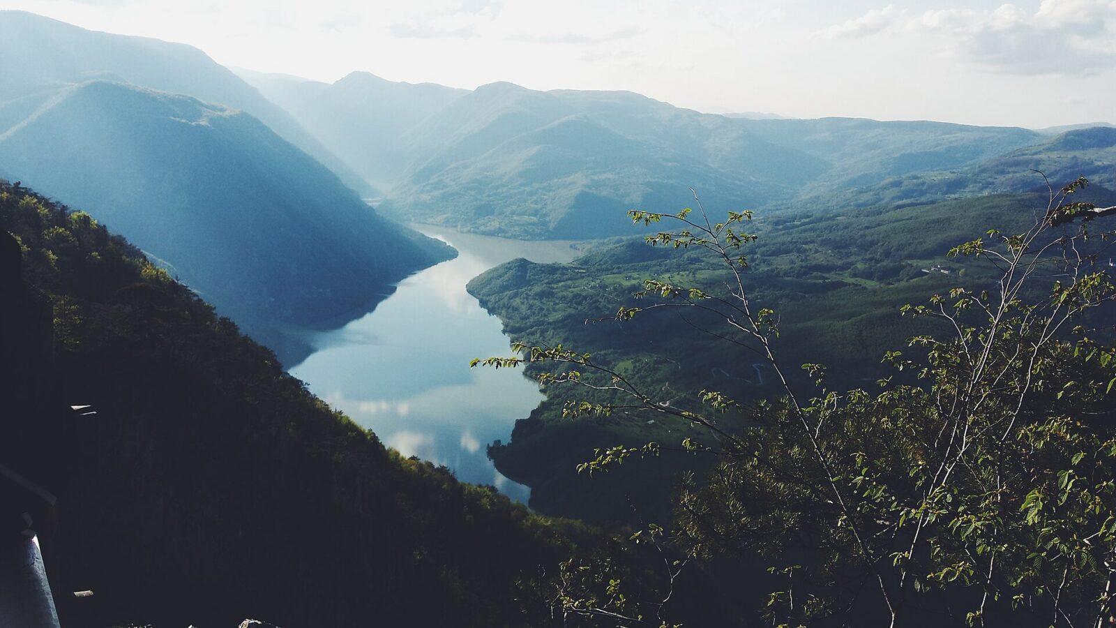 Wooded mountain slopes of Tara National Park above the Drina river valley near the border with Bosnia and Herzegovina