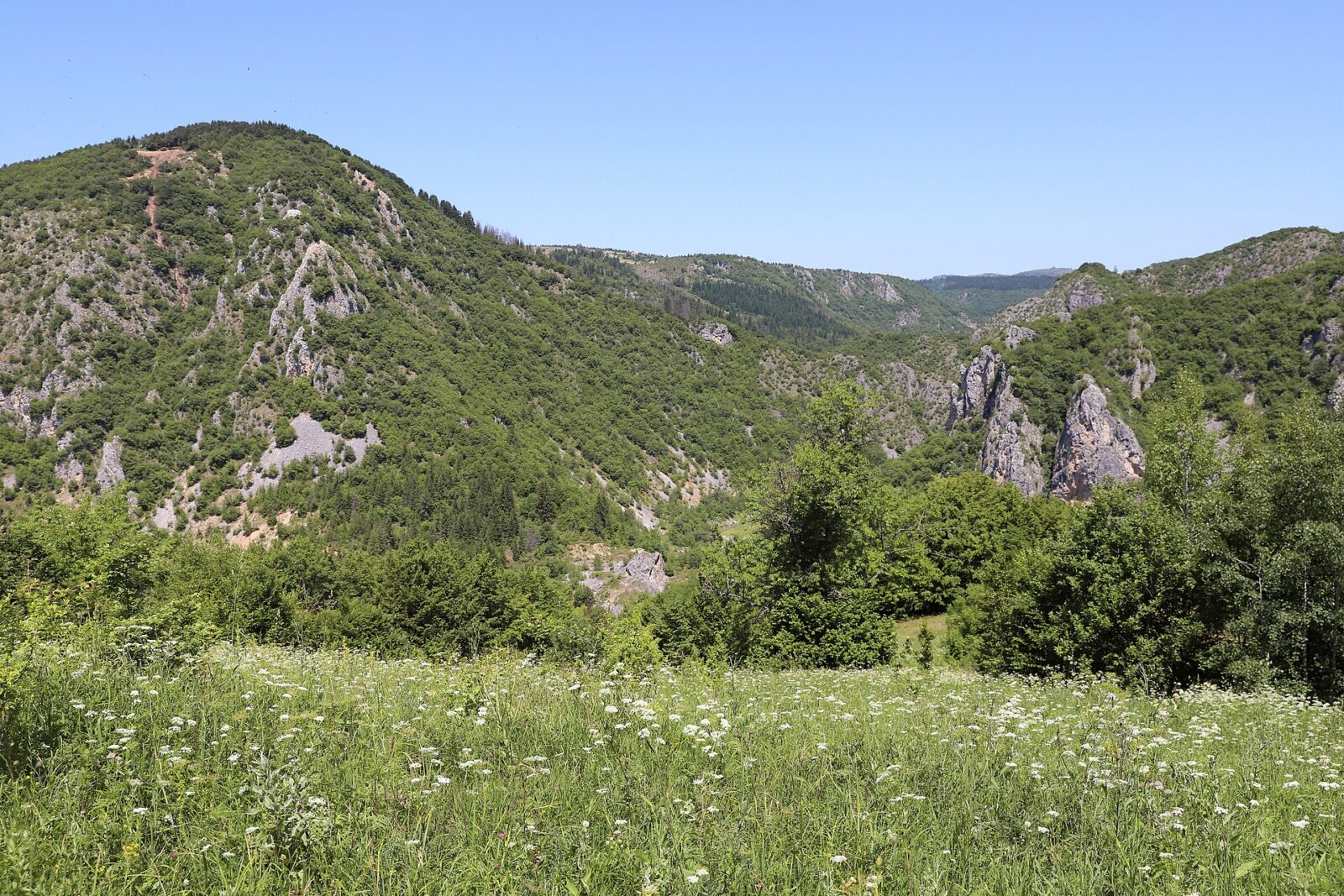 The limestone canyon of the Uvac, its walls dropping to the river below