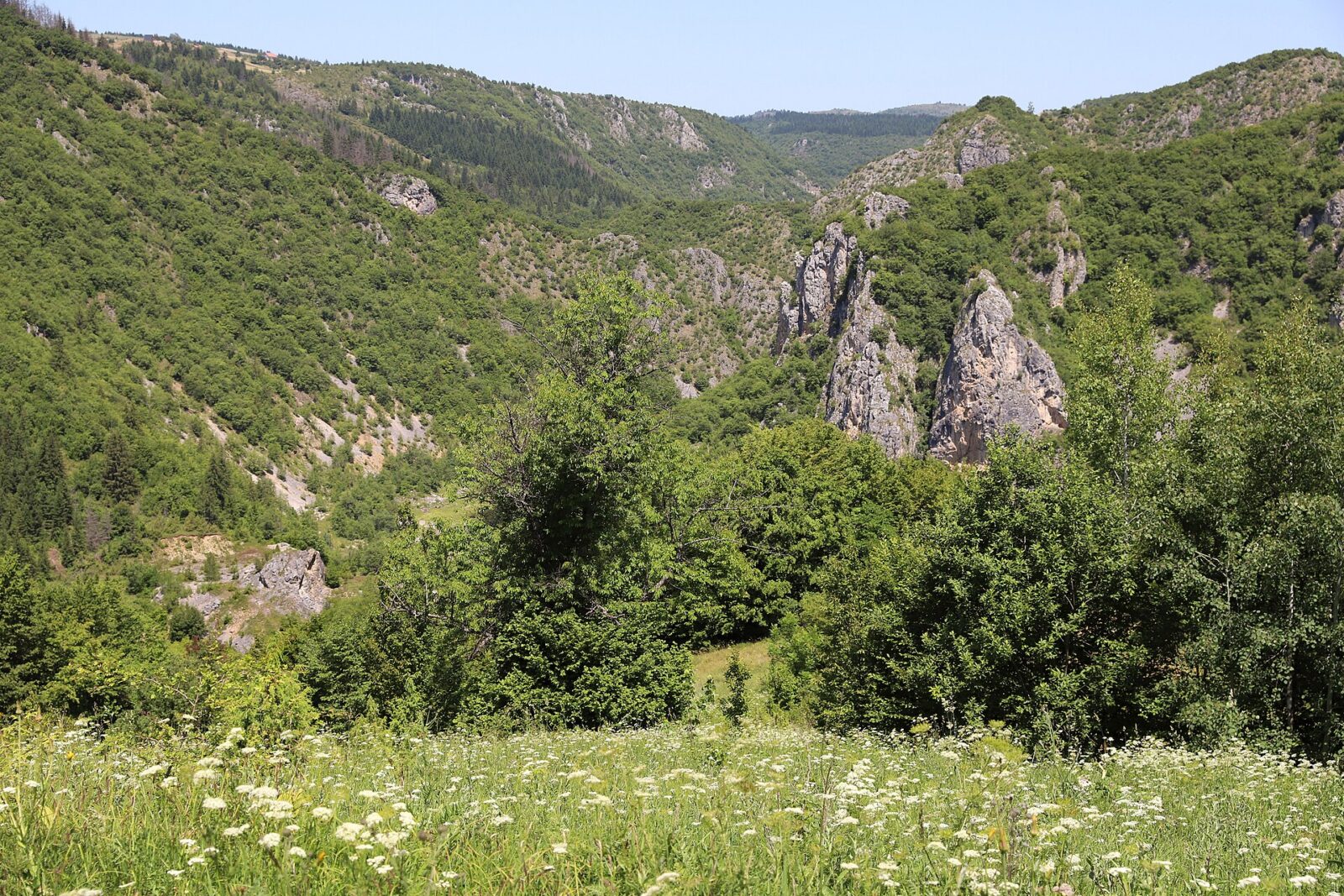 Steep limestone walls rising above the Uvac river