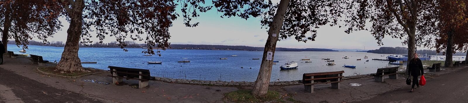 The paved quay along the Danube in Zemun, lined with benches and trees