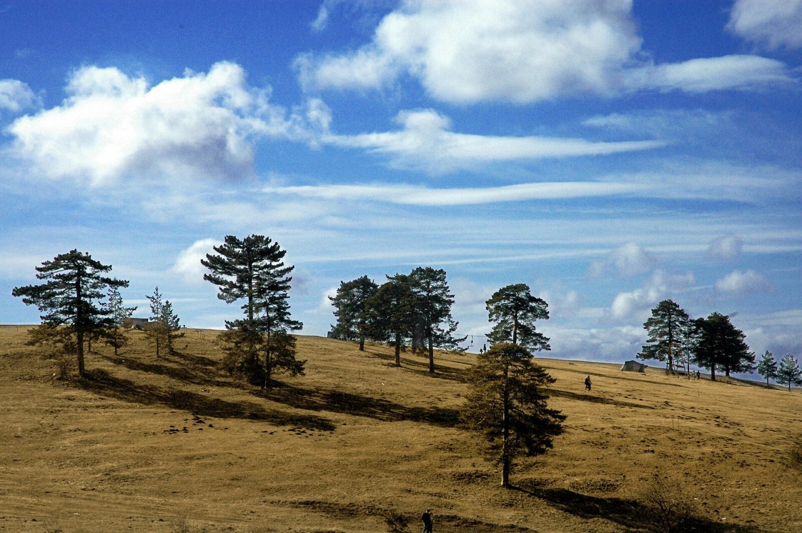 The Zlatibor plateau with meadows and forest in autumn colour